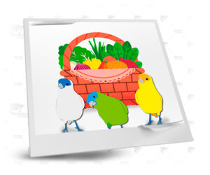 alimentación para canarios , frutas y verduras 