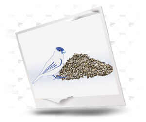 semillas de cañamón de alto valor energético para pájaros