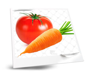 tomate-zanahoria, muda y alimentación en pájaros