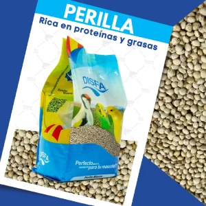 Perilla blanca para pájaros: Semillas nutritivas ricas en grasas y proteínas para la alimentación de aves durante la cría, muda y mantenimiento. 